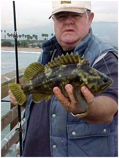 Goleta Pier - Pier Fishing in California