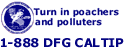 A confidential secret witness program to encourage the public to provide the Department of Fish and Game factual information leading to the arrest of poachers and polluters