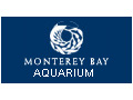 Visit the MBA online - see the various habitats including the live Kelp Reef Cam!